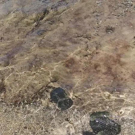 Con Piscina Privata